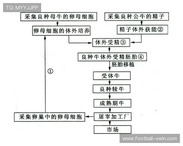 德赢vwin全站登陆流程详解及常见问题解决方案，确保玩家快速顺利登录体验